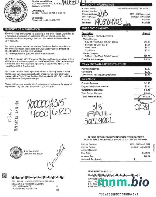 USA Miasto JACKSON rachunek za media słowo i szablon PDF